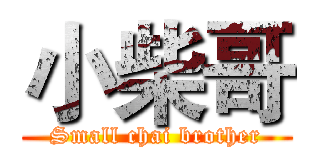 小柴哥 (Small chai brother)