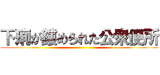 下痢が鏤められた公衆便所 ()