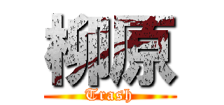 柳原 (Trash)