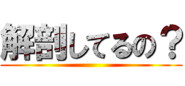 解剖してるの？ ()