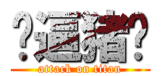 傻逼猪扒 (attack on titan)