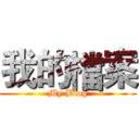 我的檔案 (My Blog)