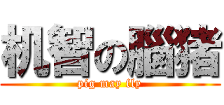 机智の腦猪 (pig may fly)