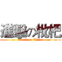 進擊の枇杷 (attack on Three)