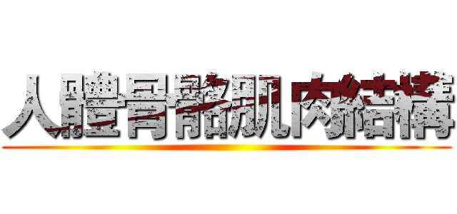 人體骨骼肌肉結構 ()