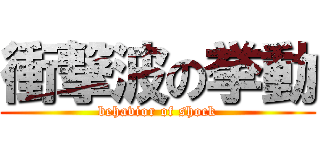 衝撃波の挙動 (behavior of shock)