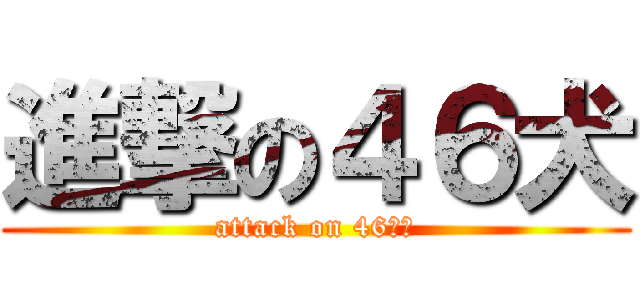 進撃の４６犬 (attack on 46いぬ)