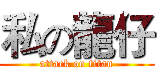私の龍仔 (attack on titan)