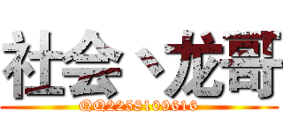 社会丶龙哥 (QQ2258109616)