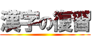 漢字の復習 ()