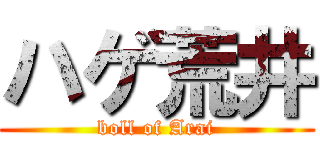 ハゲ荒井 (boll of Arai)