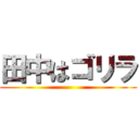 田中はゴリラ ()