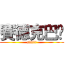 賽德克巴萊 (sdkbt)