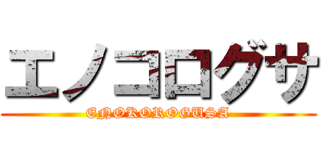 エノコログサ (ENOKOROGUSA)