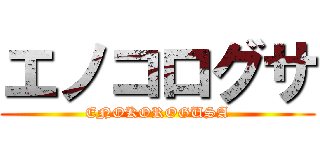 エノコログサ (ENOKOROGUSA)