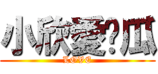 小欣愛傻瓜 (LOVE)