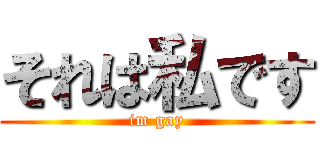 それは私です (im gay)
