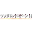 ウソダドンドコドーン！！ (( 0w0))