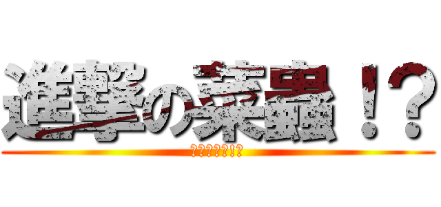 進撃の菜蟲！？ (進撃の菜蟲!?)