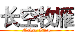 长空牧雁 (Never Stop)