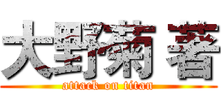 大野菊 著 (attack on titan)