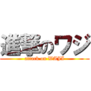 進撃のワジ (attack on WAJI)