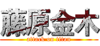 藤原金木 (attack on titan)