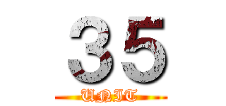 ３５ (UNIT)