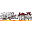 進撃の怡柔 (attack on titan)