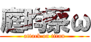 庭昀蔡ω (attack on titan)