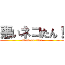 悪いネコたん！ (attack on titan)