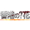 香港の黃花 (HKYFC)