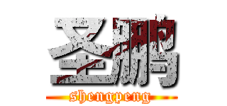 圣鹏 (shengpeng)