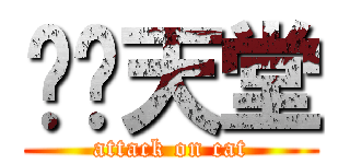 喵喵天堂 (attack on cat)