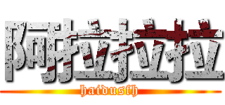 阿拉拉拉 (haidusfh)