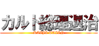 カルト総理退治 (KAIJI TAIIN)