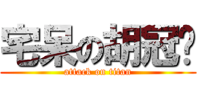 宅呆の胡冠瑋 (attack on titan)