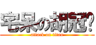 宅呆の胡冠瑋 (attack on titan)