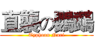 直襲の鸚鵡 (Typhoon Nuri)