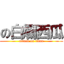 の白爛西瓜 (attack on titan)