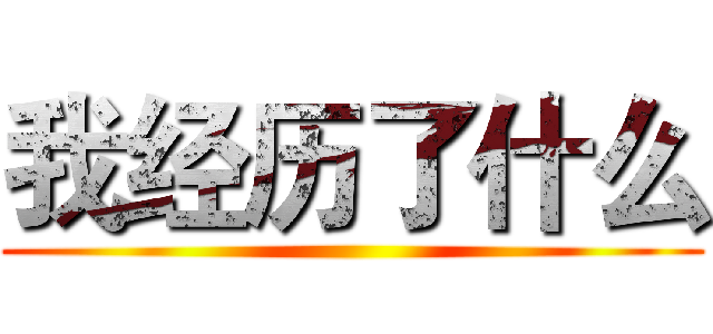 我经历了什么 ()