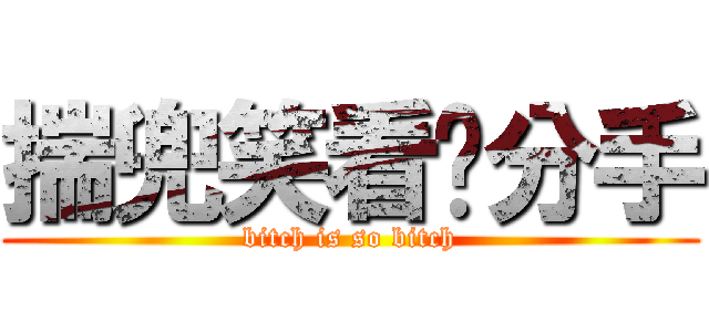 揣兜笑看尔分手 (bitch is so bitch)