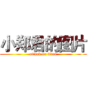 小郑君的图片 (attack on titan)