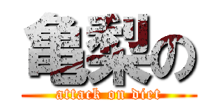 亀梨の (attack on diet)