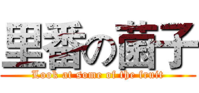 里番の菌子 (Look at some of the fruit)