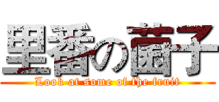 里番の菌子 (Look at some of the fruit)