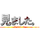 見ました。 (I saw it)