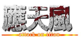 應天風  (attack on titan)