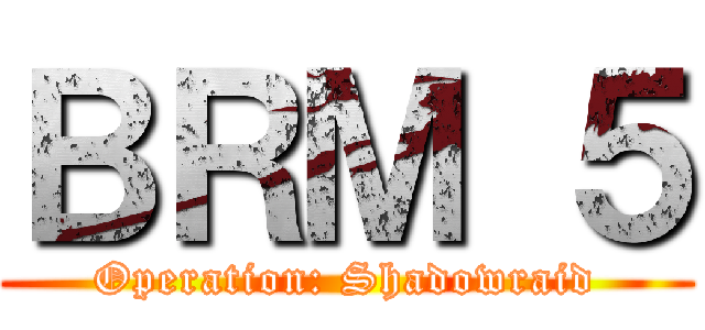 ＢＲＭ ５ (Operation: Shadowraid)