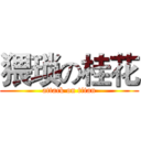 猥琐の桂花 (attack on titan)